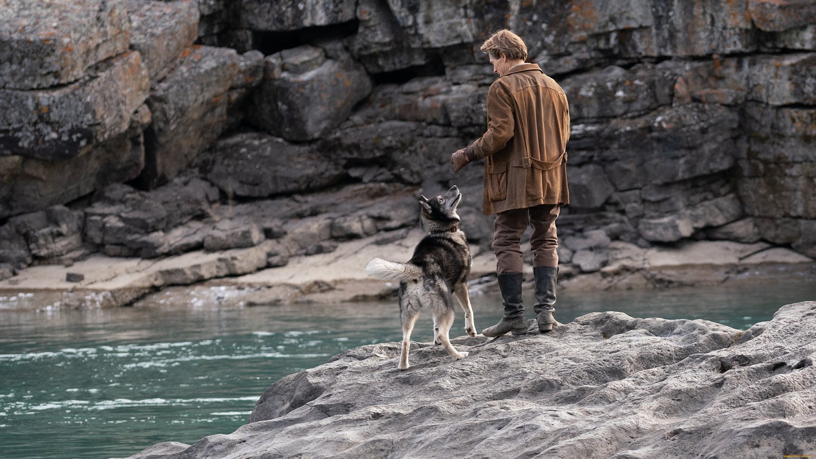 Не хуже «Хатико»: 10 фильмов, после которых хочется завести собаку